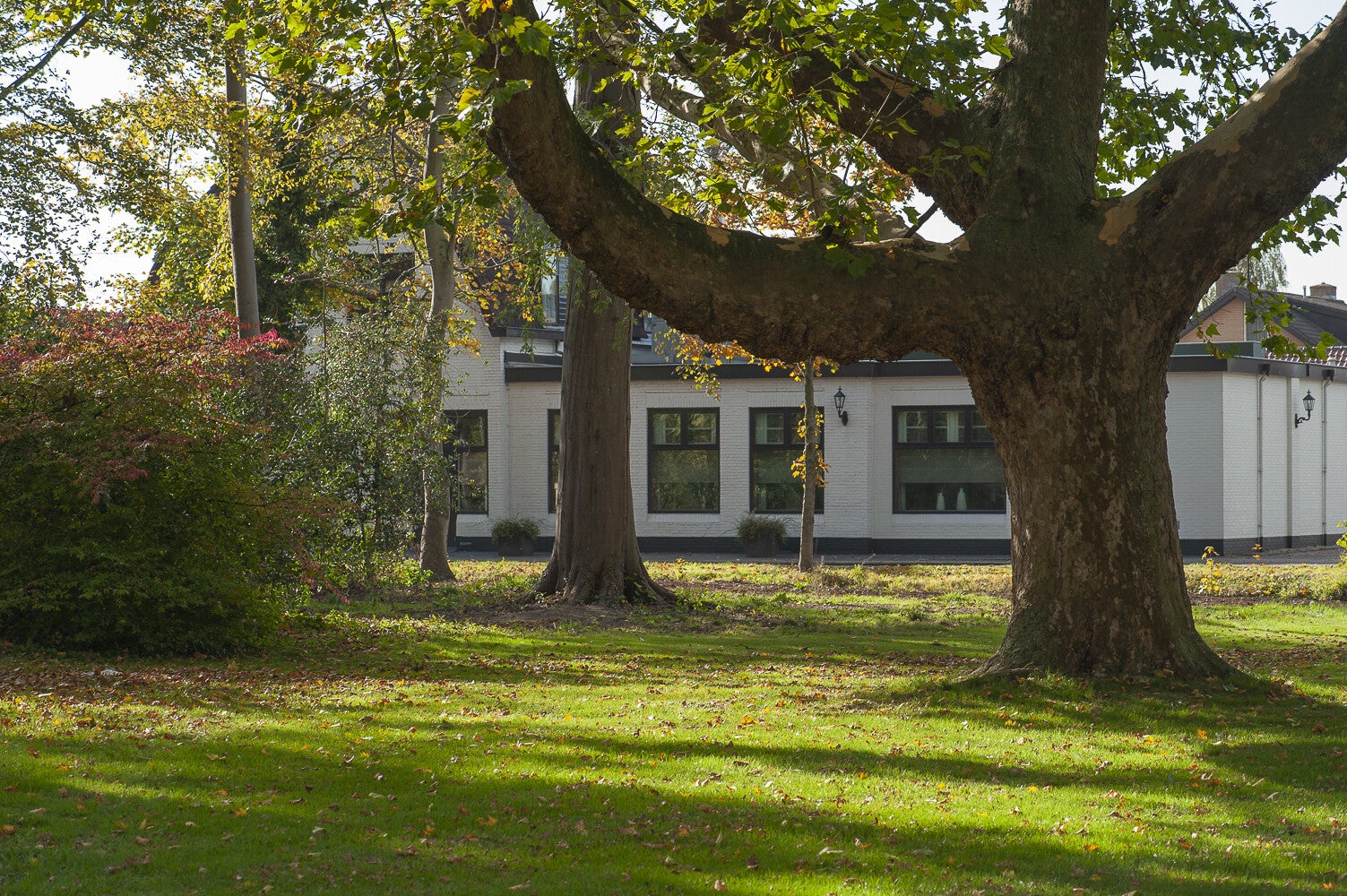 BurgmRooyaardslaan0247-1.jpg