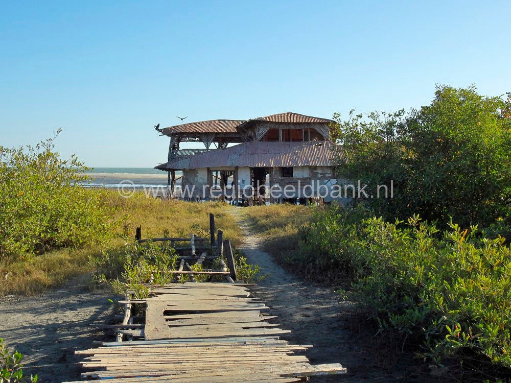 Cape Creek
