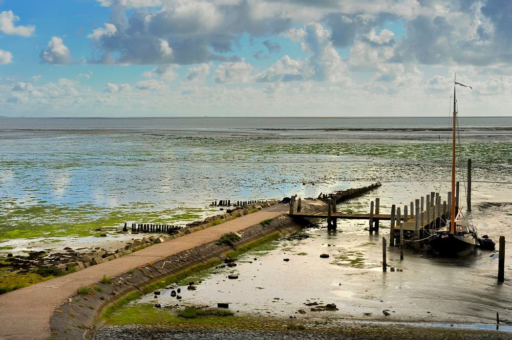 Haven Cocksdorp