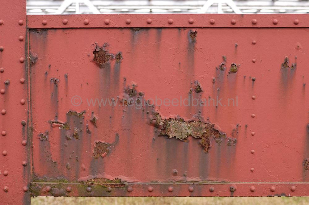 DSC_0143.jpg