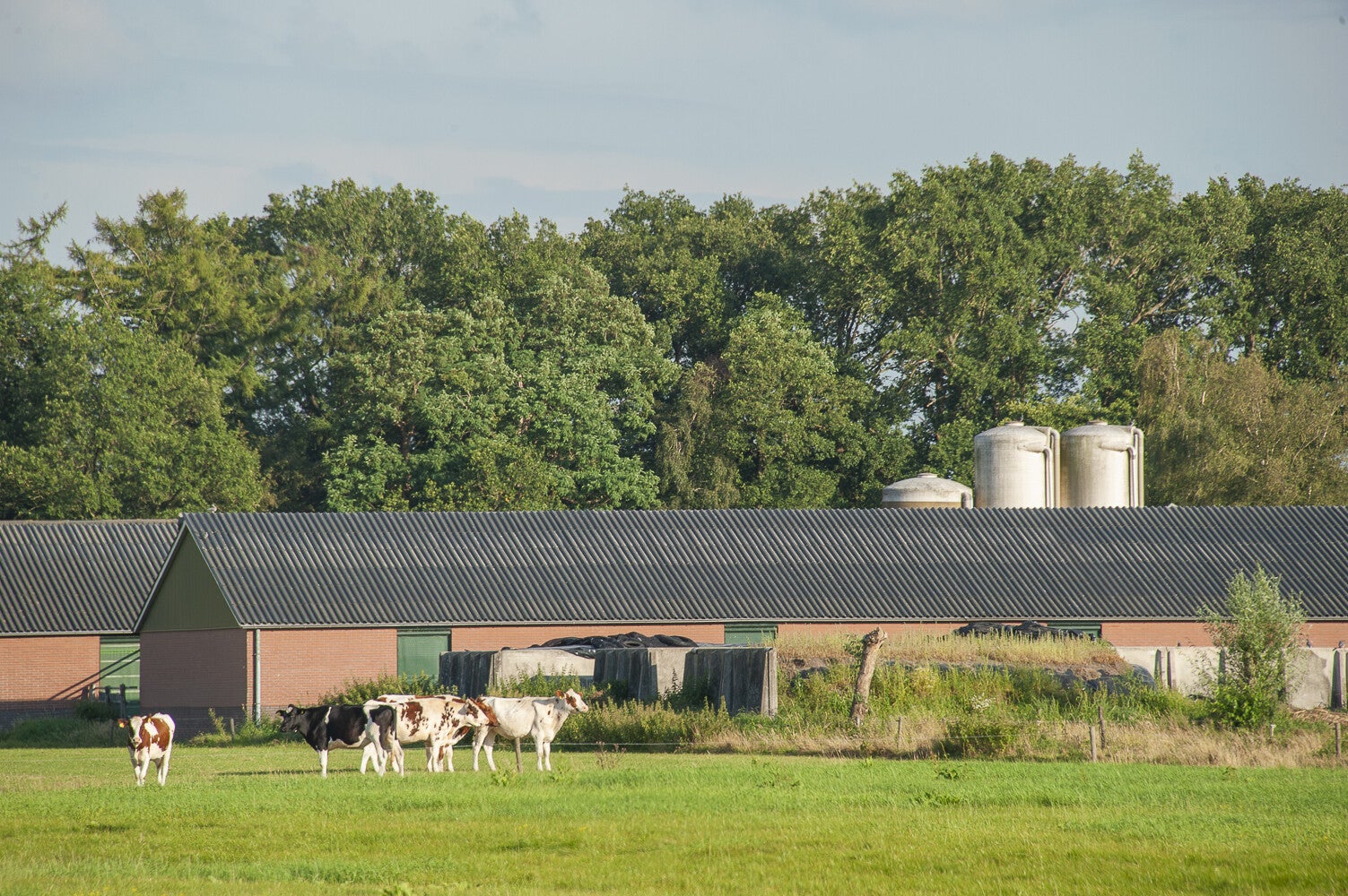 De-Haar_2071-1.jpg