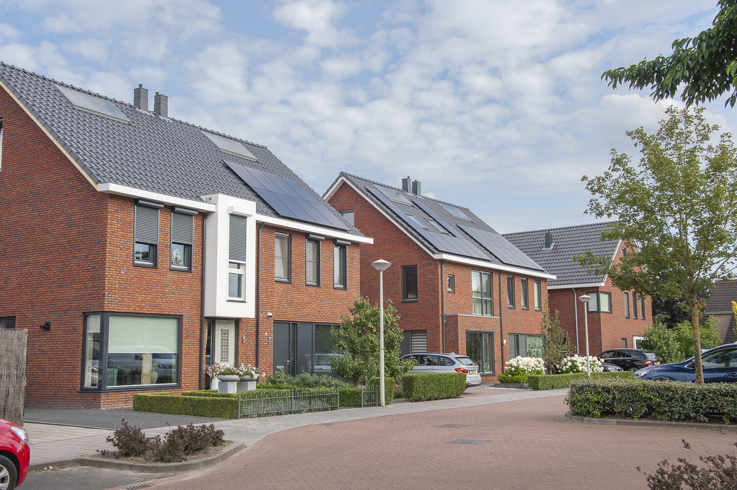 DeBongerd_0461.jpg