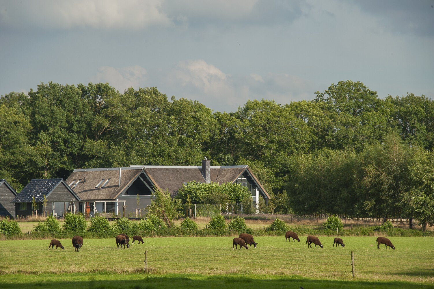 DeKleineHaar_2065-1.jpg