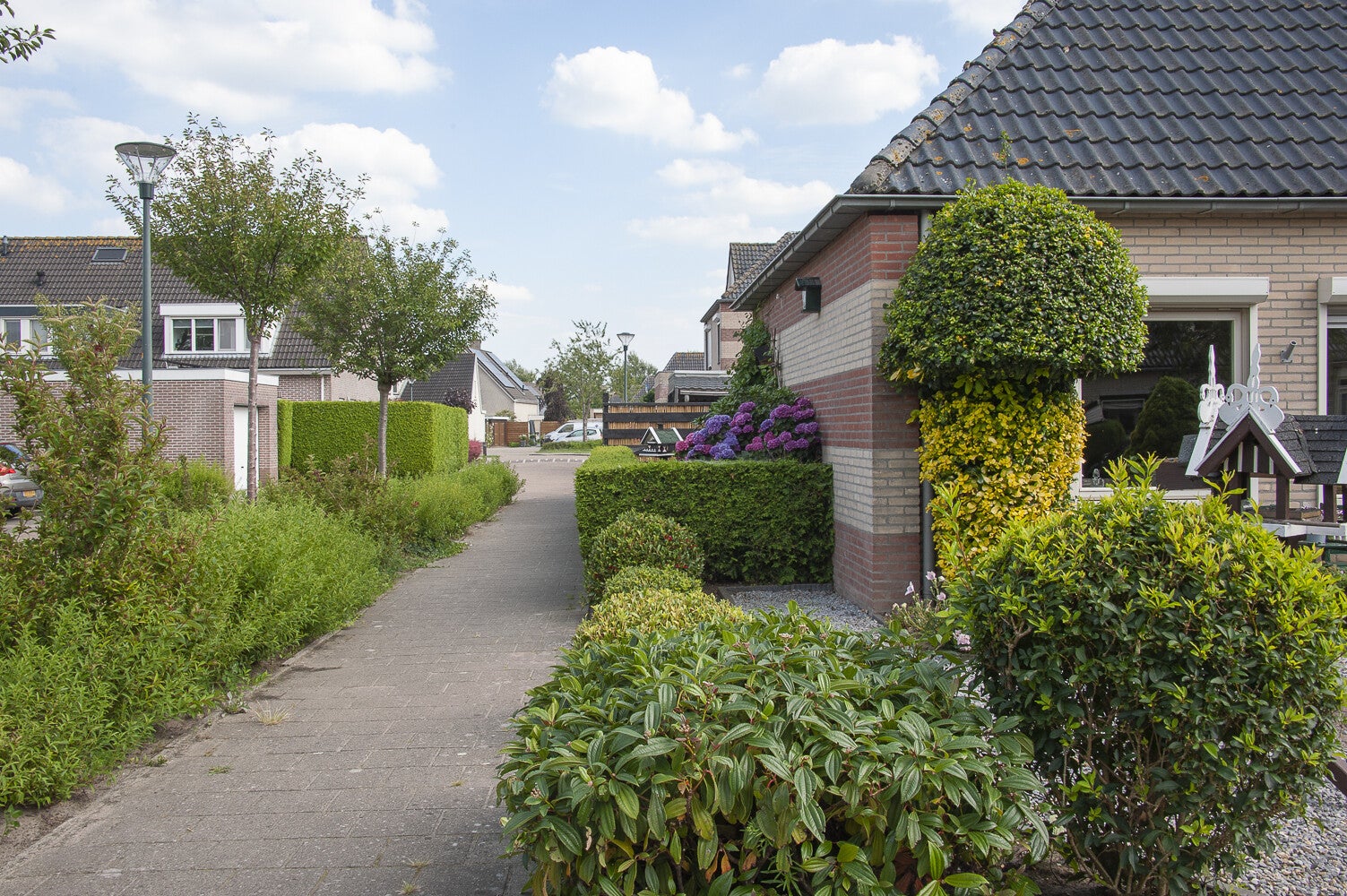 DeOmloop_0397.jpg