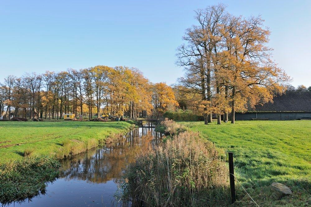 DeVallei_herfst_034.jpg