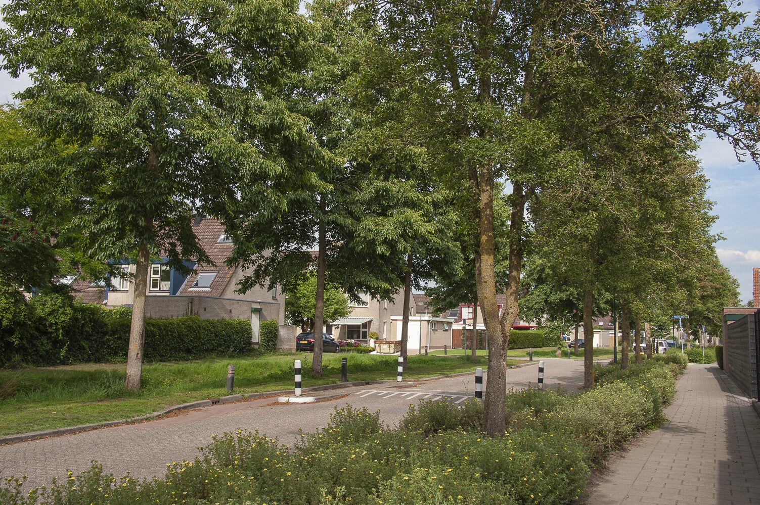 DeVoorposten_0477.jpg