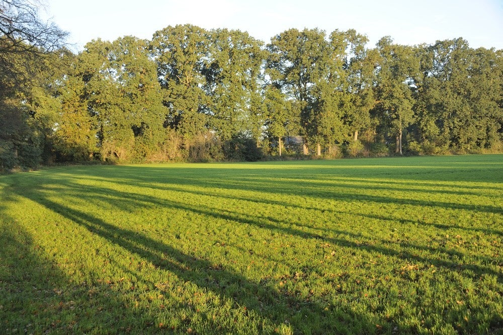 De Groep - Woudenberg