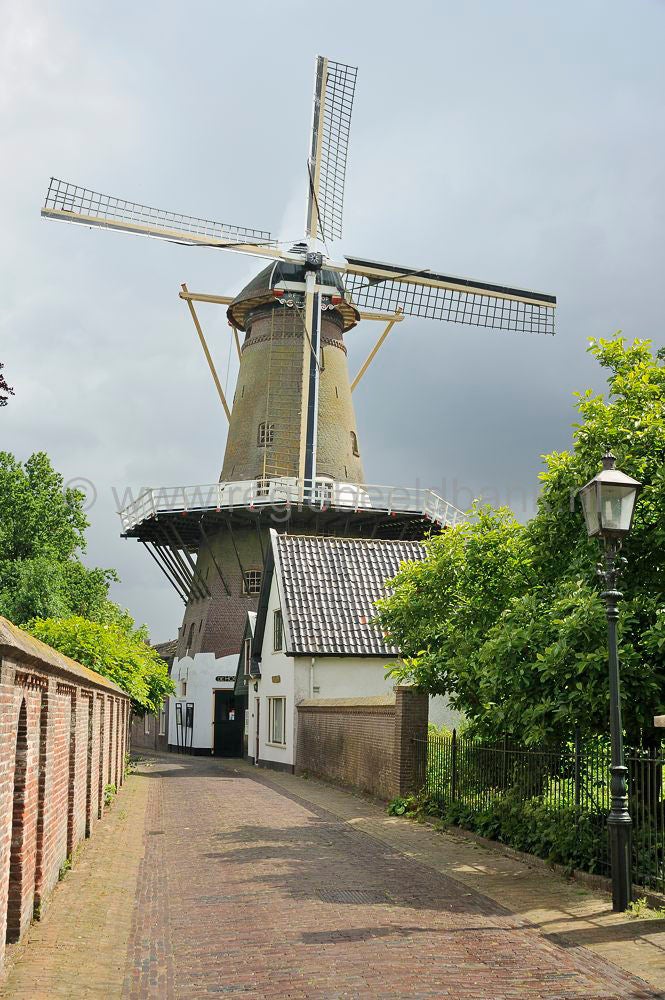 De_Hoop_002.jpg