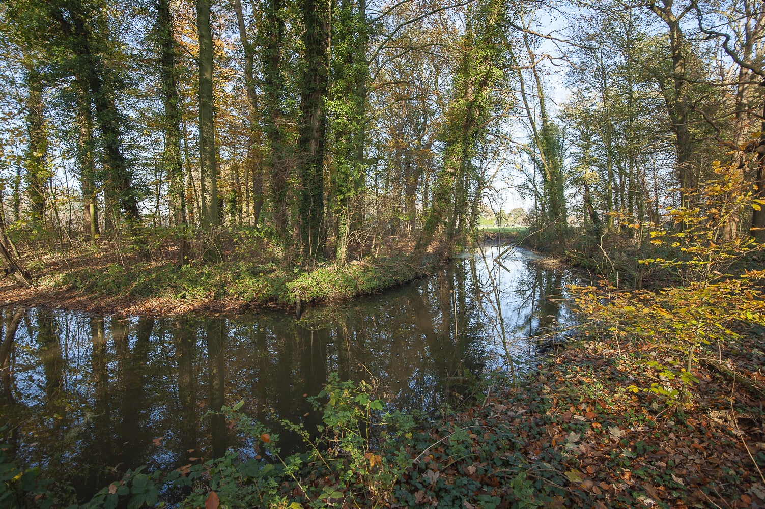 De_koepel_048-4.jpg