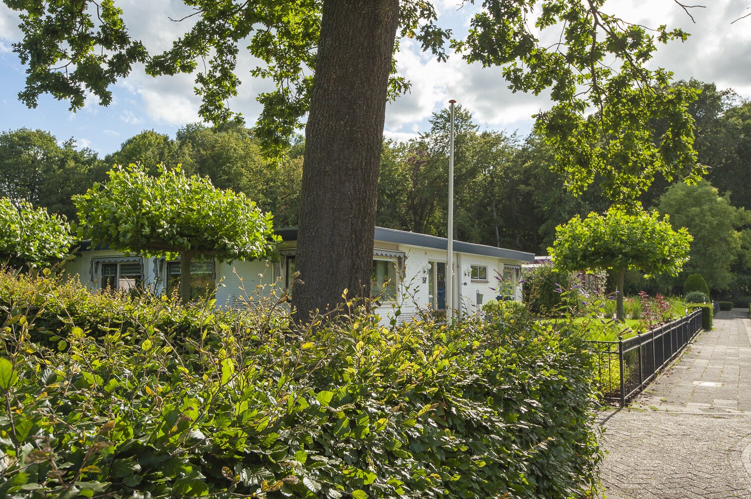 Doornboomspark_0208.jpg