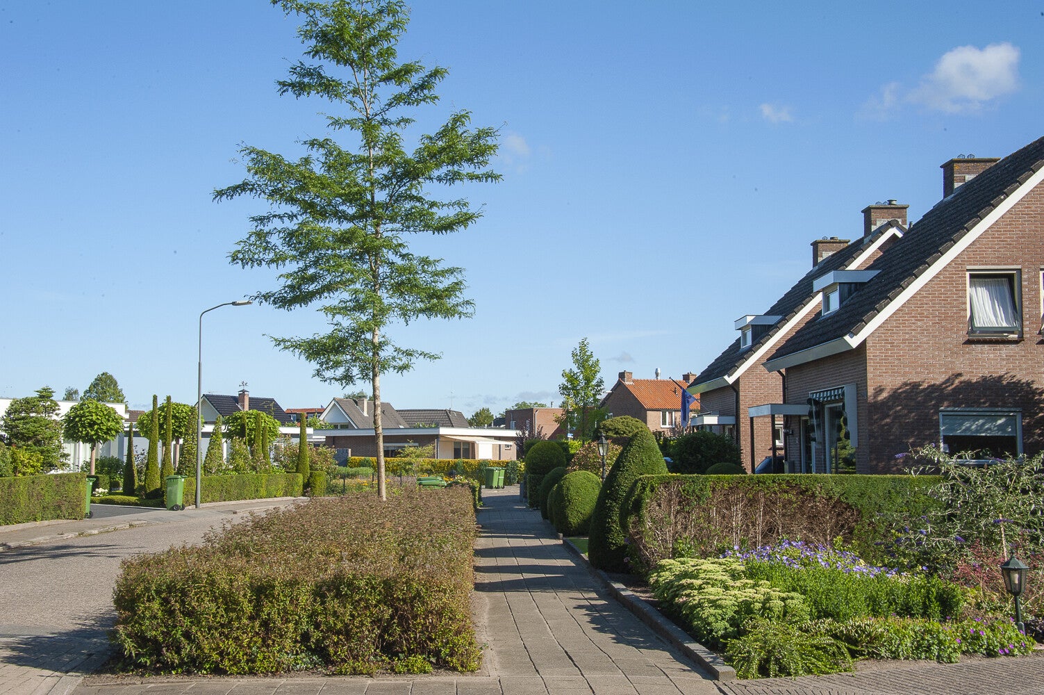 Doornboomspark_0220.jpg