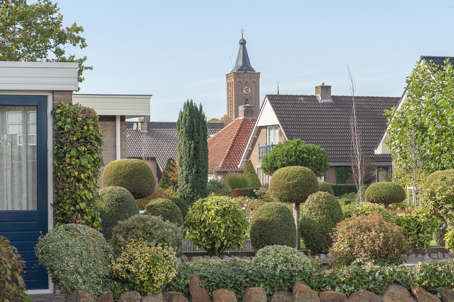 Doornboomspark_1008.jpg