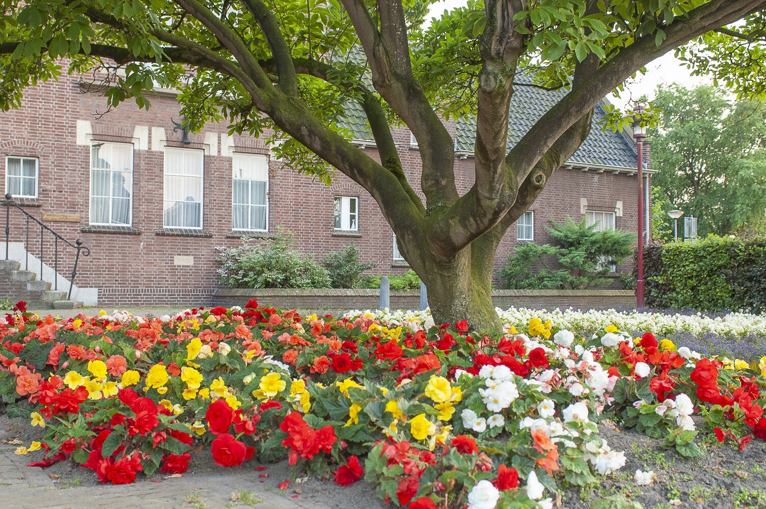 Dorpsstraat_centrum_063.jpg