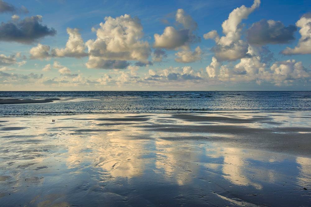 Eierlandse_strand_018-1.jpg
