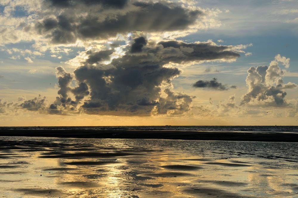 Eierlandse_strand_020.jpg