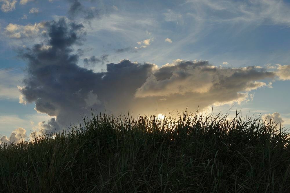 Eierlandse_strand_027.jpg