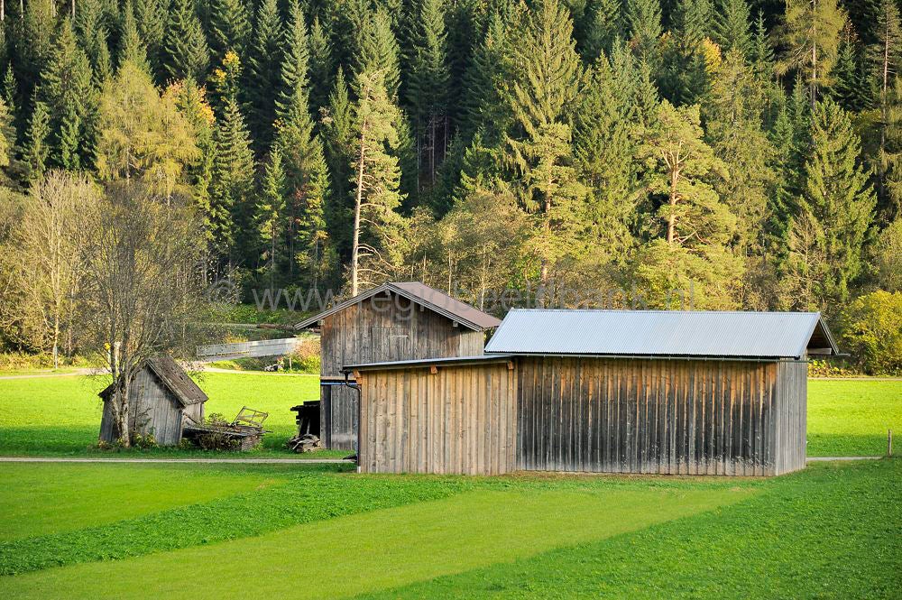 Elbingealp_027.jpg