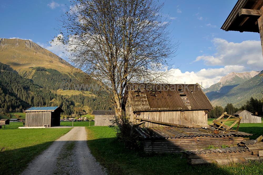 Elbingealp_031.jpg