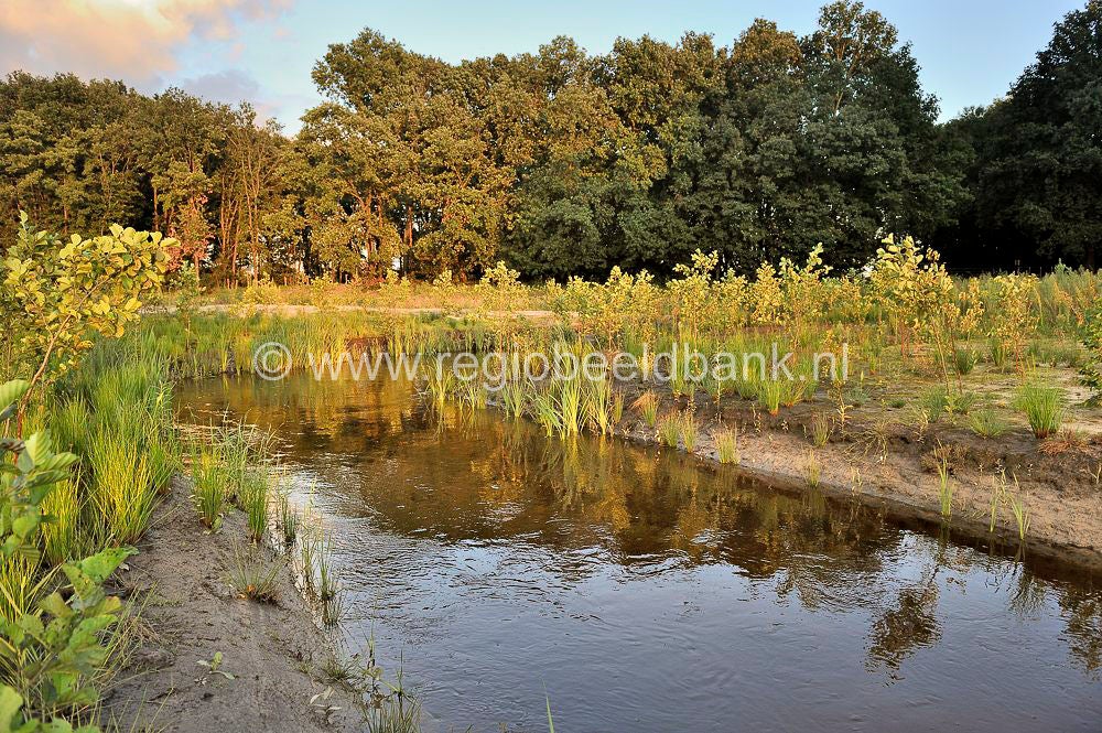 Voorwerk A D Engelaar