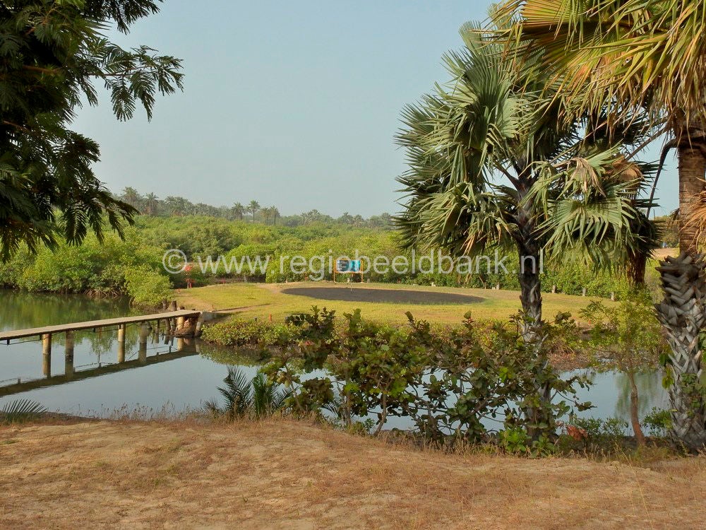 Fajara Golf Course