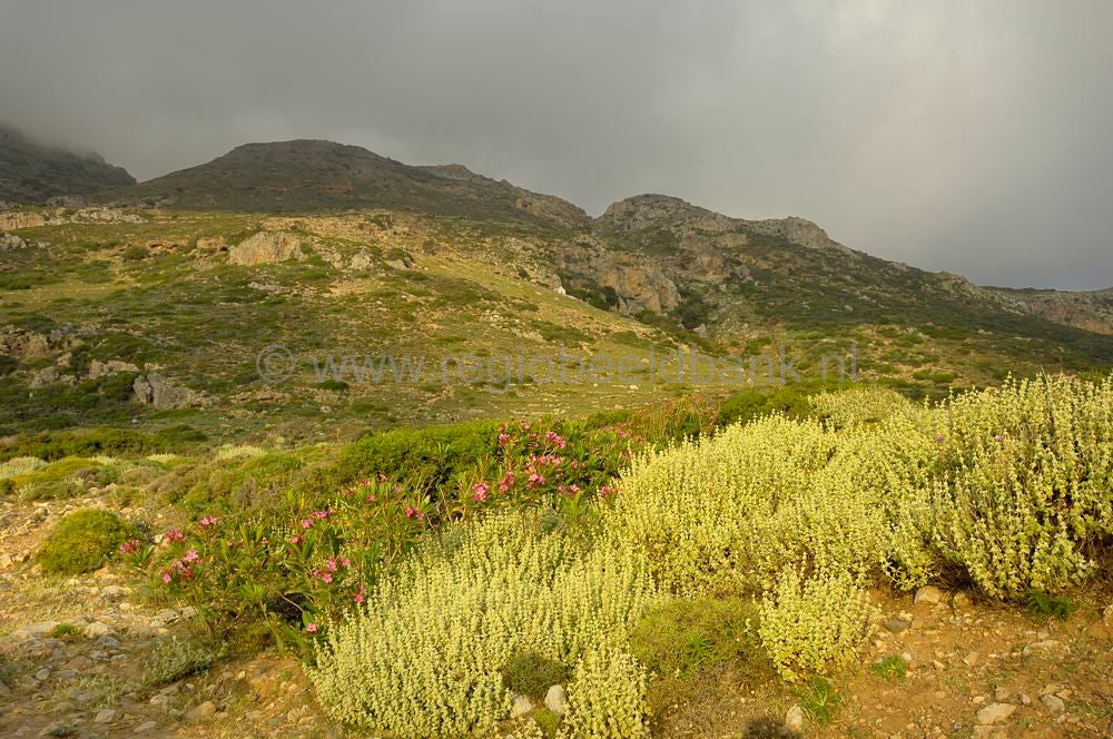 Falassarna_0458.jpg