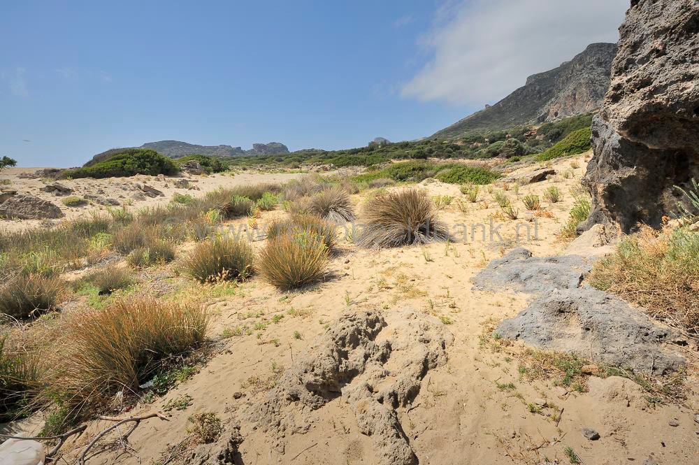 Fallasarna_beach_040.jpg