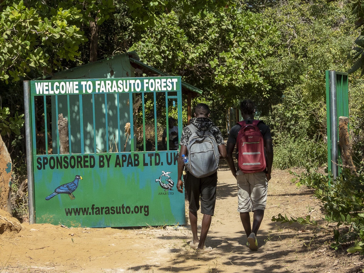 FarasutuForest_2484.jpg