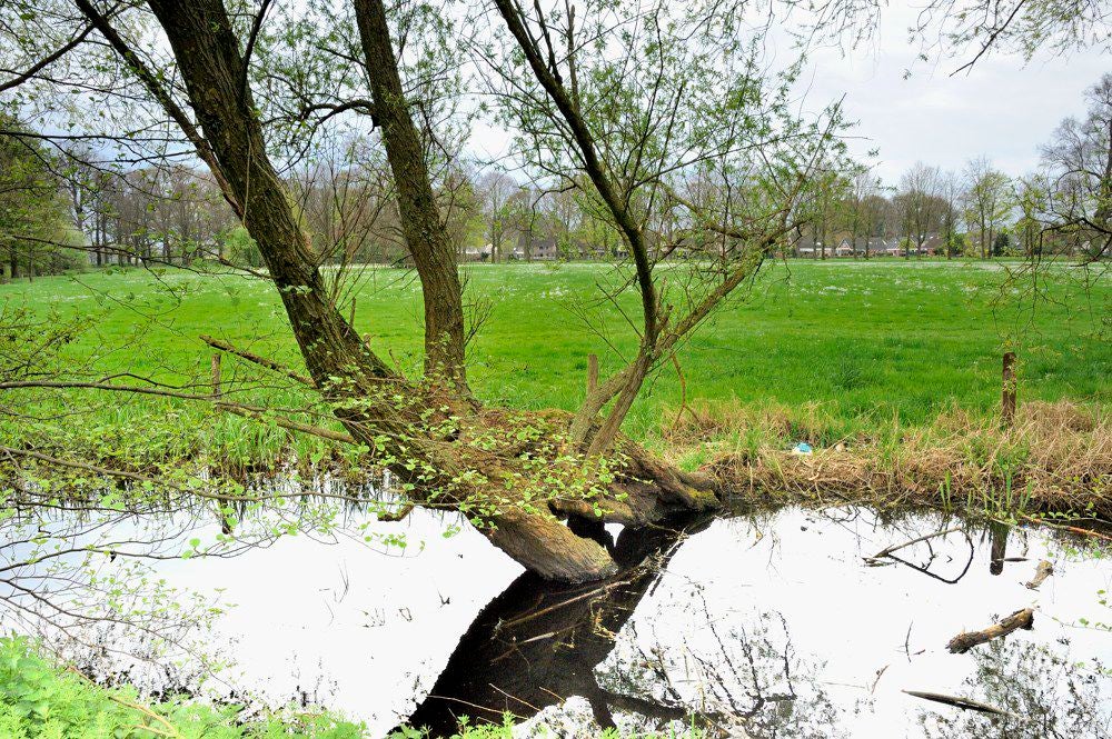 Ijsselvallei