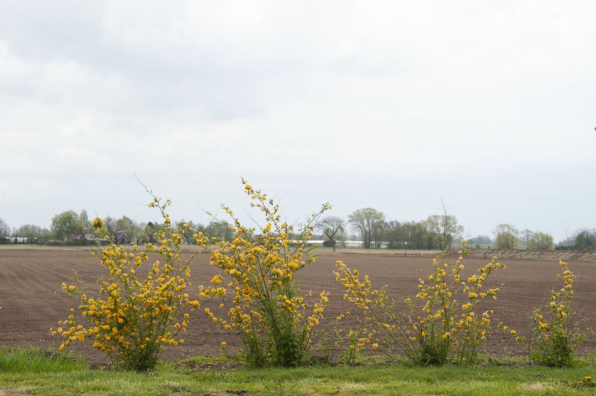 Fliertpad_006-1.jpg