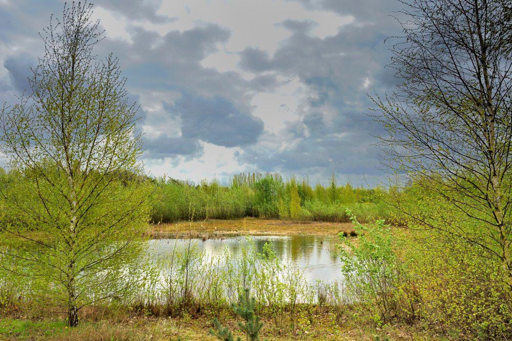 Fliertpad_009.jpg