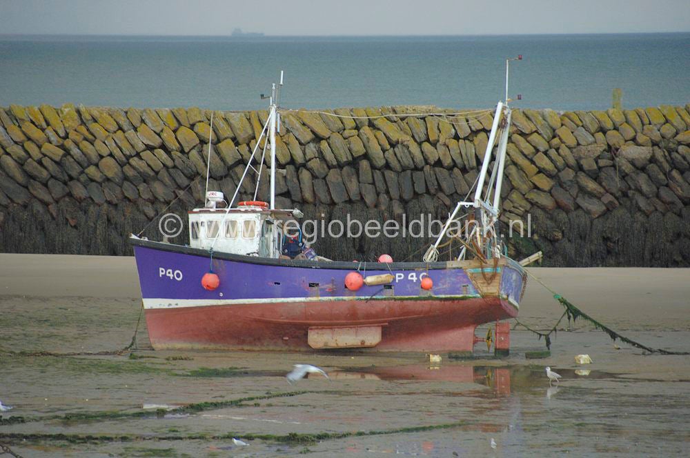 Folkstone_105.jpg