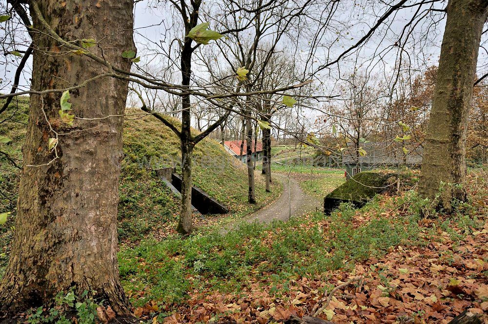 For_Everdingen_011.jpg