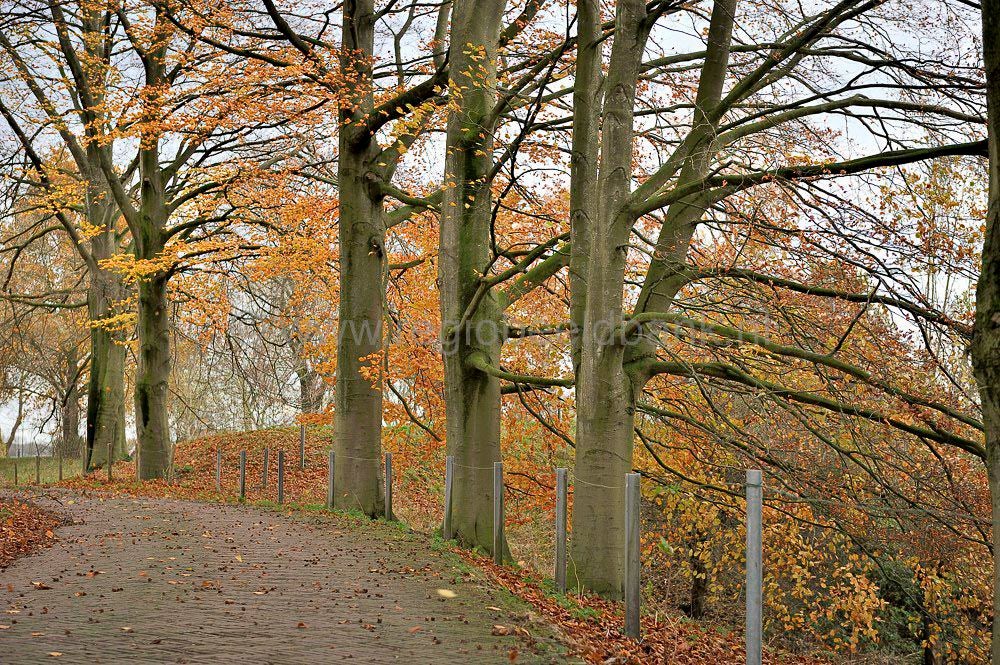 For_Everdingen_020.jpg
