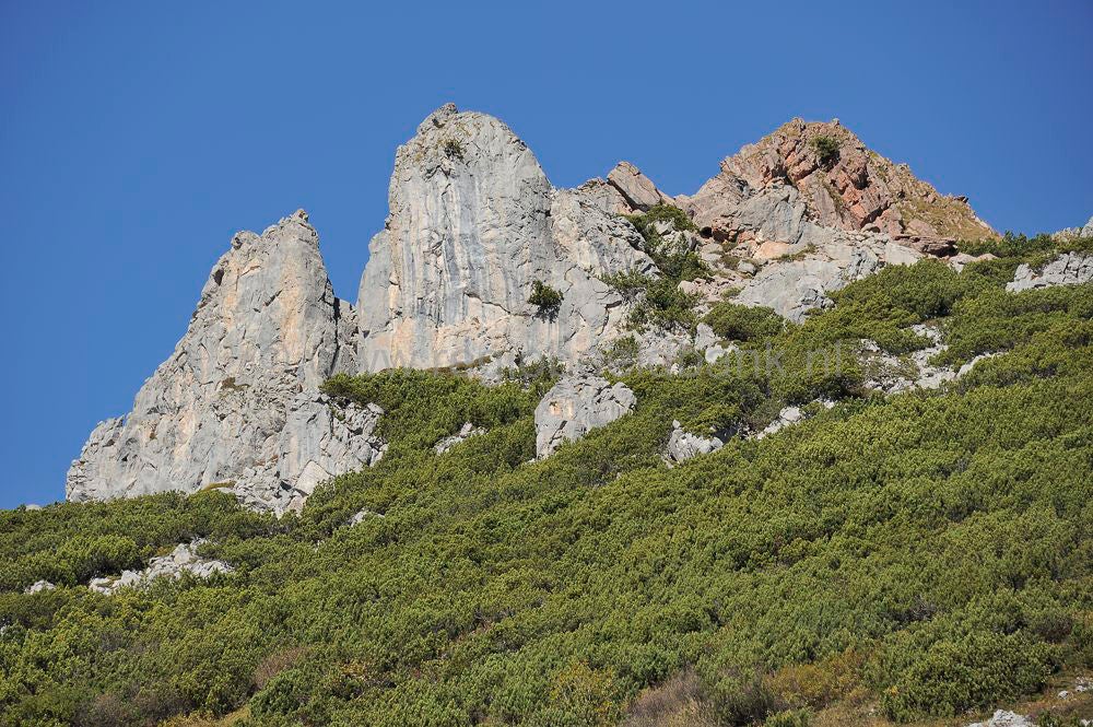 Formarin_See_098.jpg