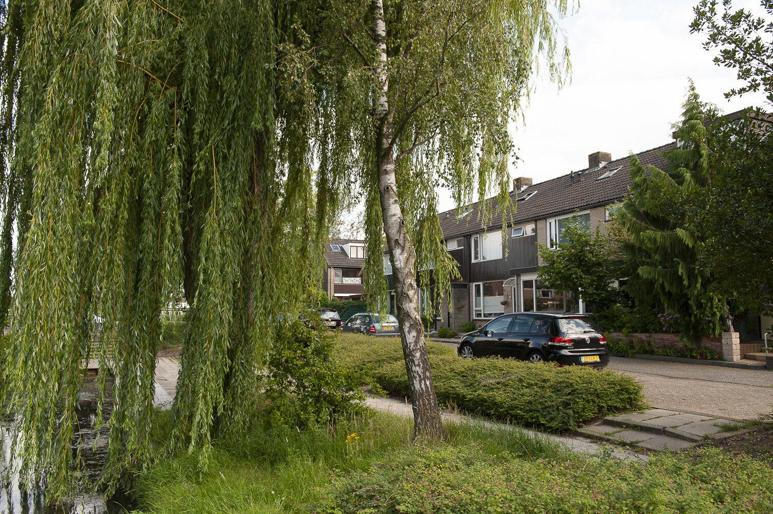 FransHalslaan_1124.jpg