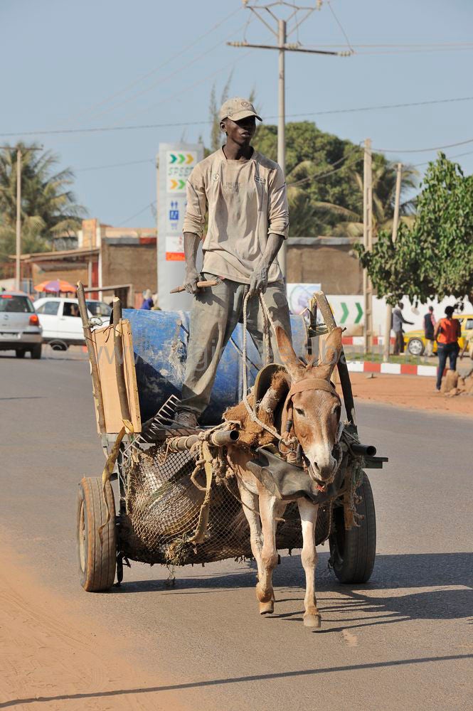 Gambia_721.jpg