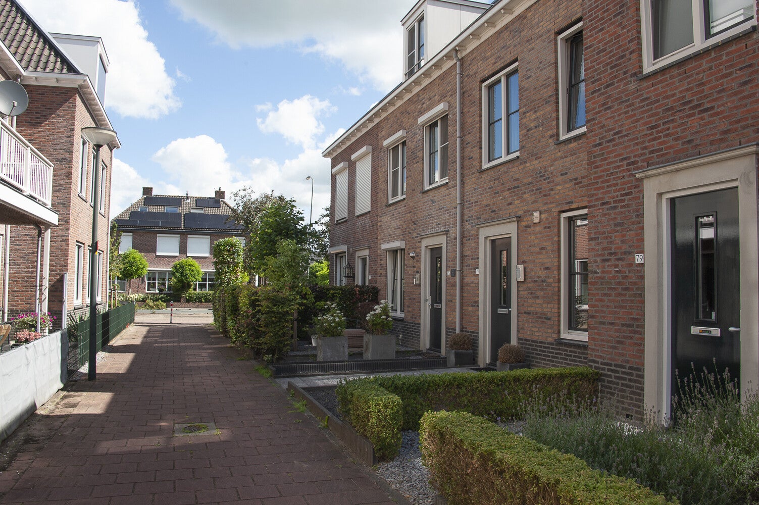GelderseRoos_0079.jpg