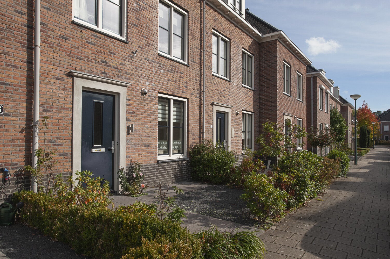GelderseRoos_4250.jpg