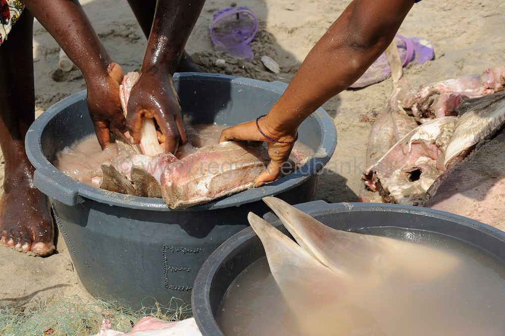 Ghanatown_fish_310.jpg