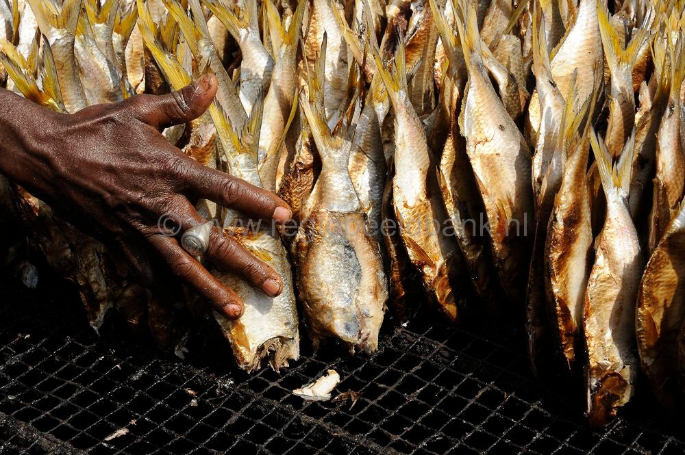 Ghanatown_fish_322.jpg