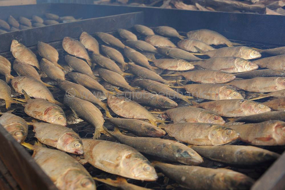 Ghanatown_fish_329.jpg