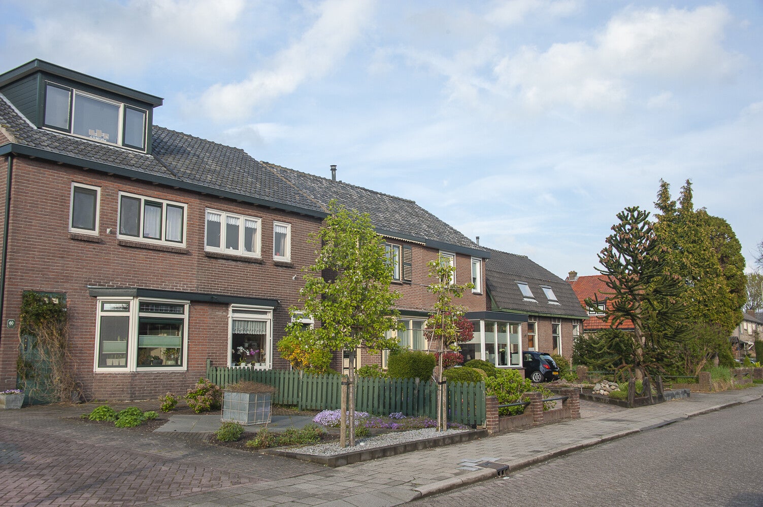Glashorst_265.jpg