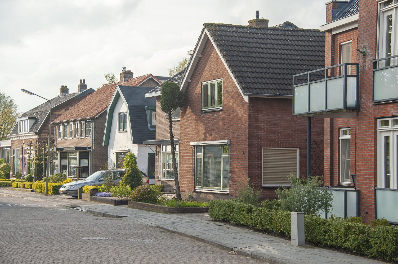 Glashorst_278-1.jpg