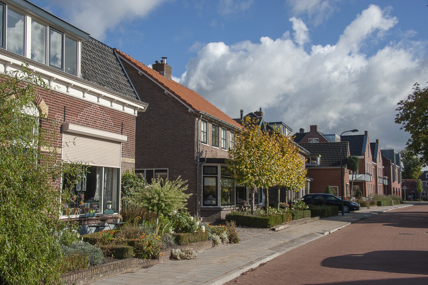Glashorts_2222.jpg