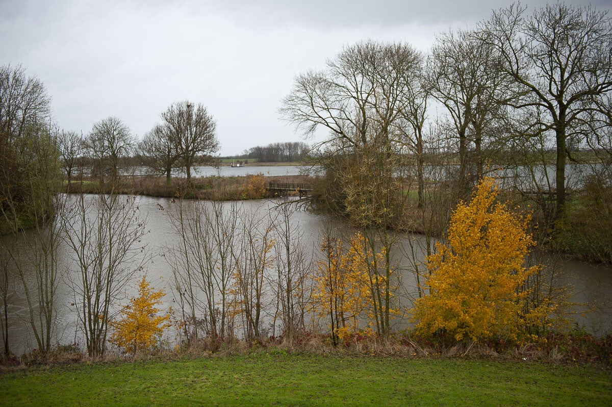 Goilberginerpad_001.jpg