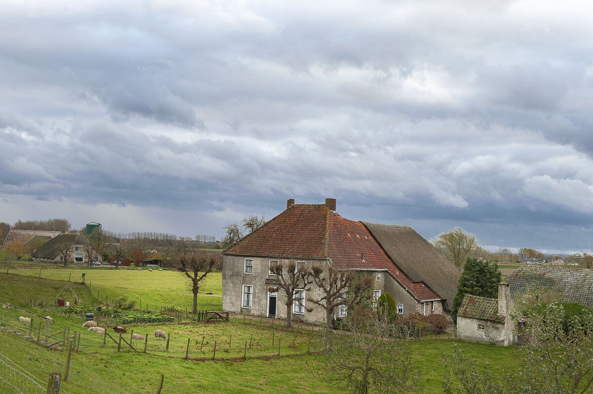 Goilberginerpad_013.jpg