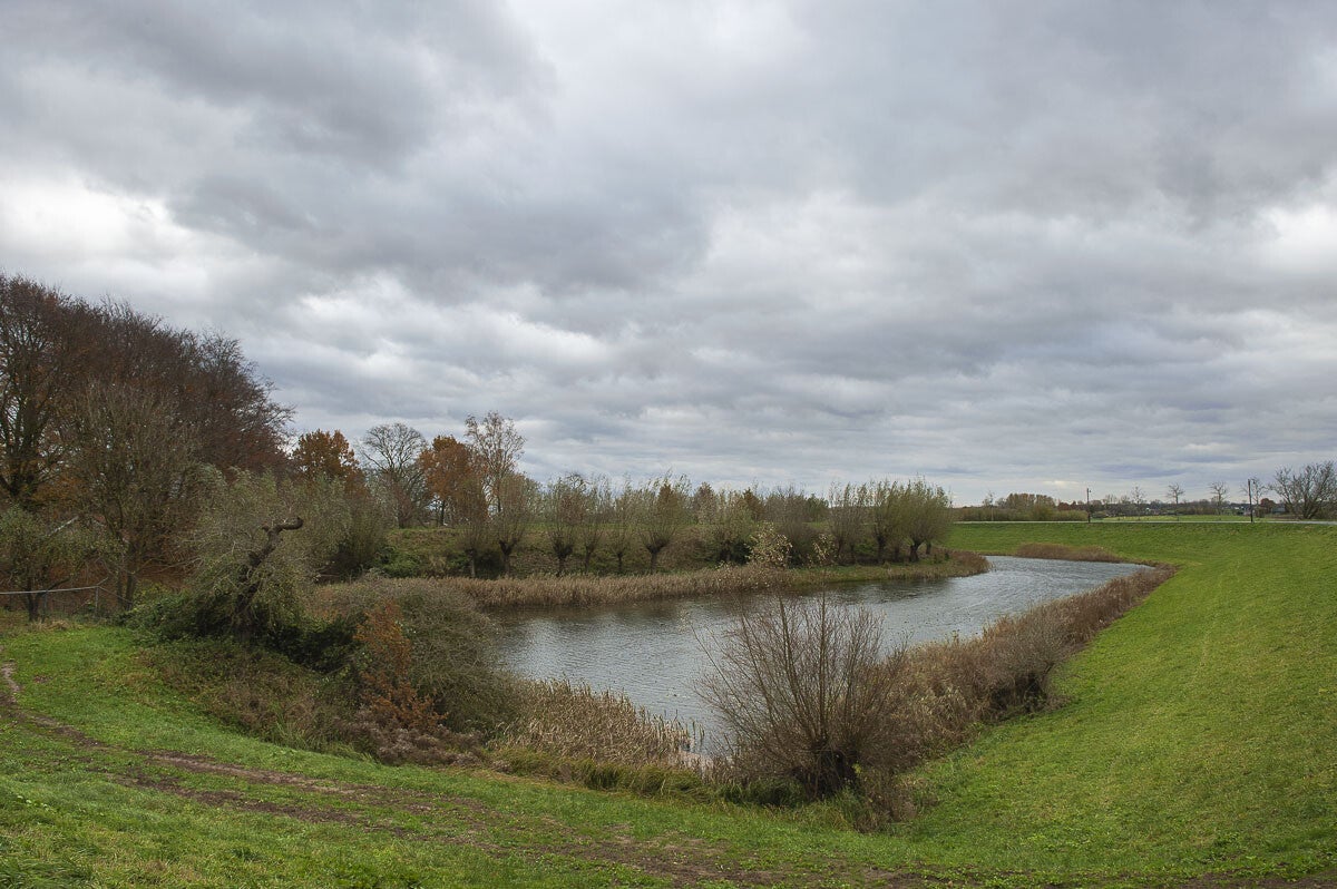 Goilberginerpad_019.jpg