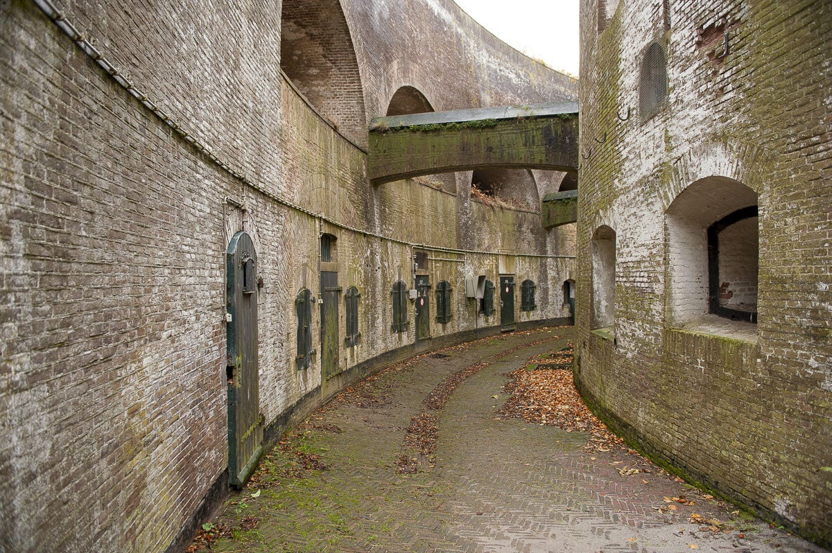 Goilberginerpad_021.jpg