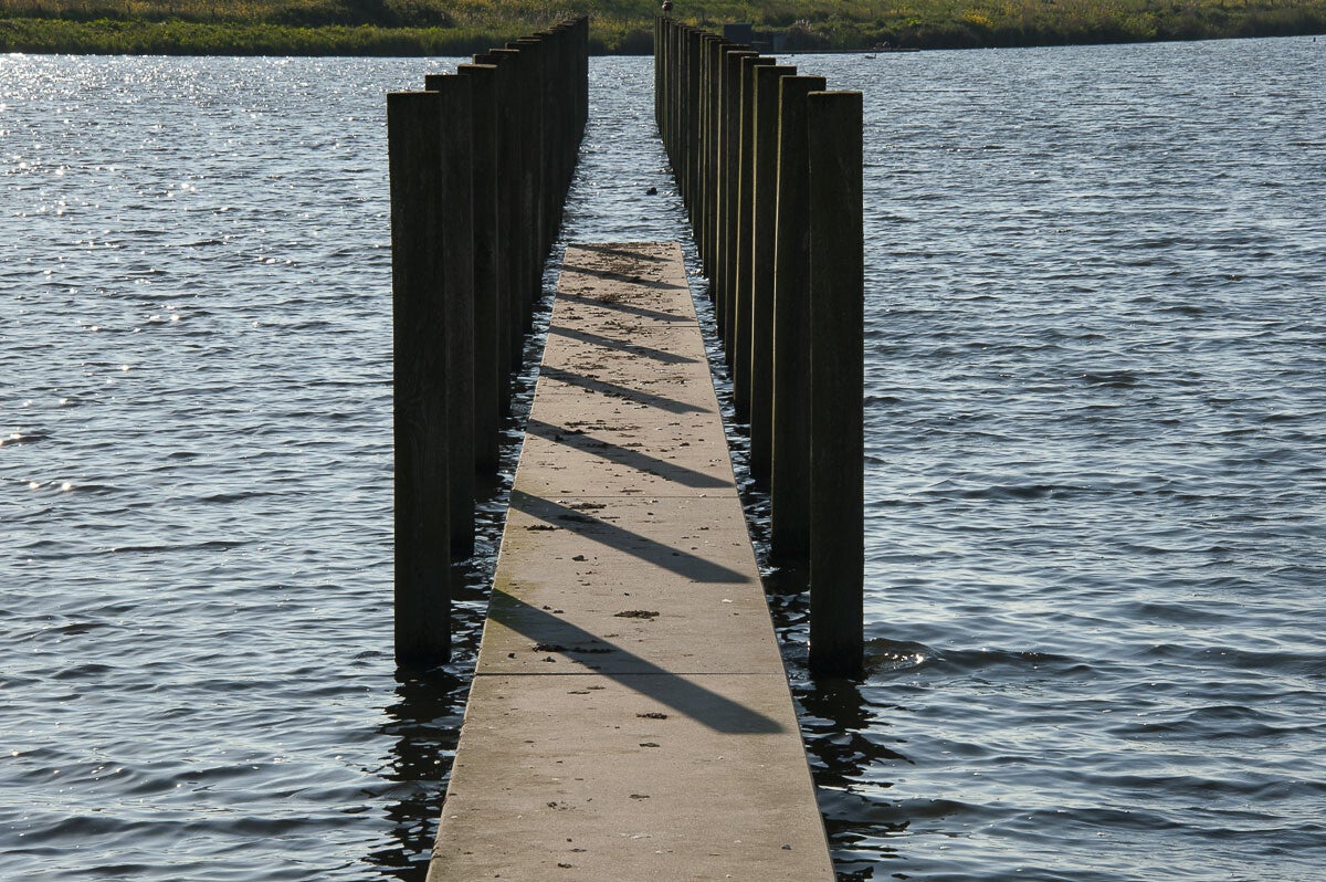 Goilberginerpad__070.jpg