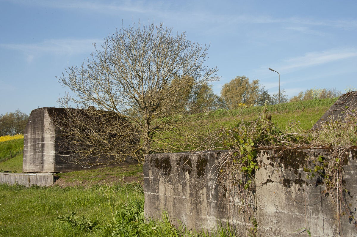 Goilberginerpad__072.jpg